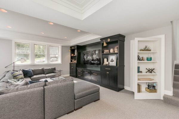Living Room Hidden Bookcase Naperville Illinois